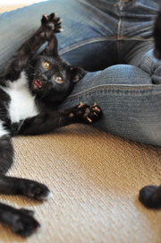 わぁ～★　何かにビビッてるグラ。