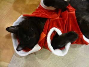 もうすぐ、クリスマス～★　　じんサンタ