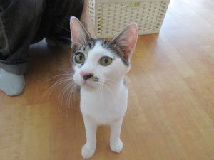 　　ん？おやつかっ！？