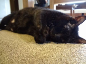 　　　　　　　　　　　　　　　　手をギュッとして寝ます