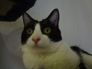 　　　　　　　　　　　　おやつ♪おやつ♪おやつ♪