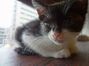 おなか空いた時は大声で主張します♪