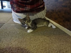 今日からは、おねぇちゃんと一緒に寝るもん