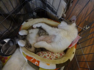 大手術後も余裕のアピール